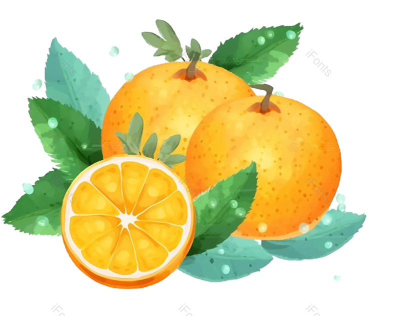 叶子图片,清新元素,夏天PNG,插画免抠素材